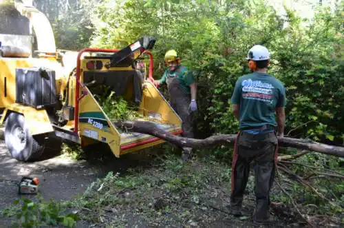 tree services Lost Hills